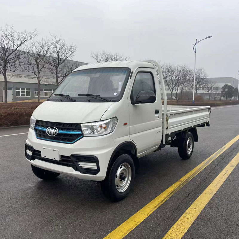 N30 Mini Truck with ESC & Aircsips