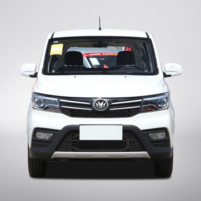 EX50 Gasoline MPV