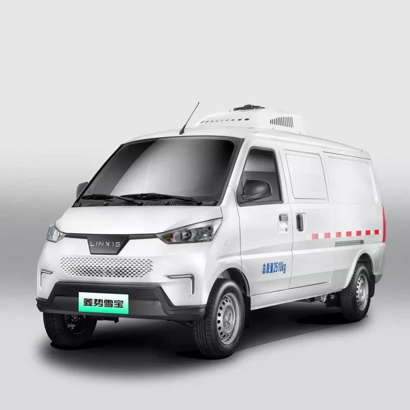 G100 Two-Seater NEV Van