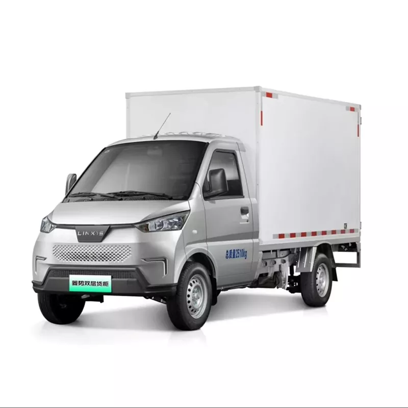 G100P Two-Seater NEV Truck