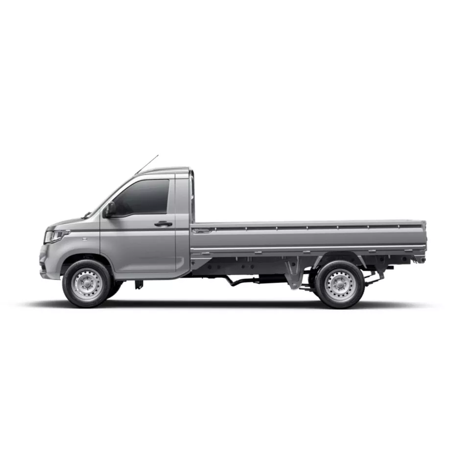 Rongguang New Pickup